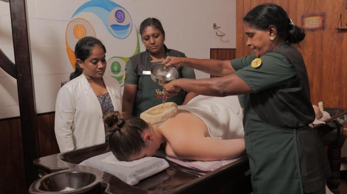 veda5 ayurveda living village