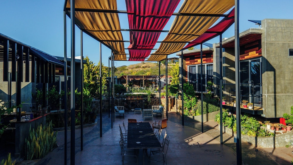 entre vides valle de guadalupe