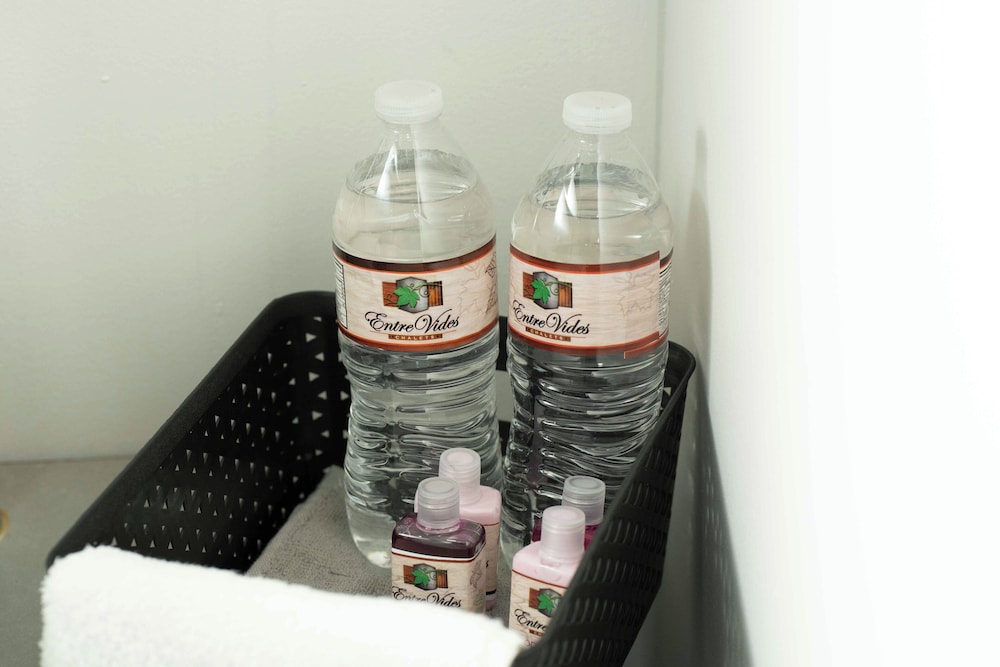 entre vides valle de guadalupe