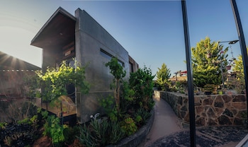 entre vides valle de guadalupe