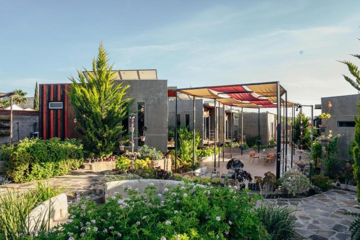 entre vides valle de guadalupe