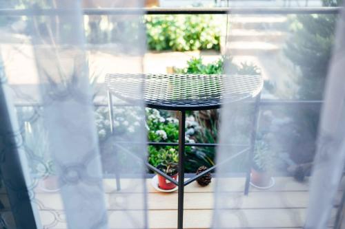 entre vides valle de guadalupe