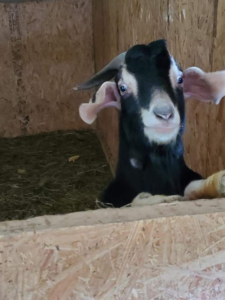 country aire bed and breakfast