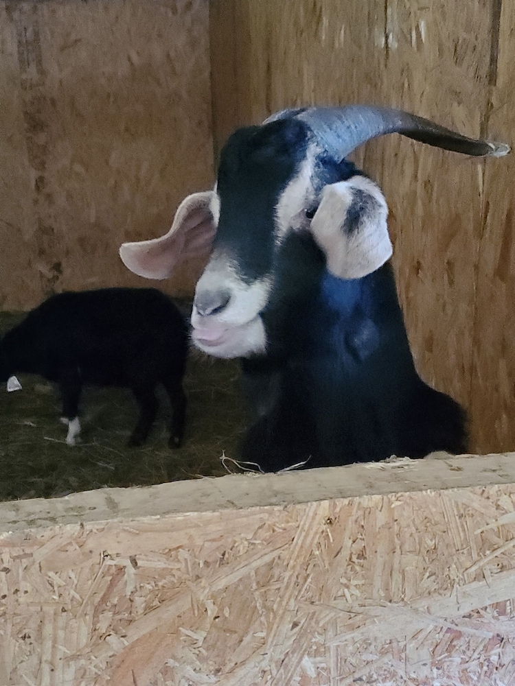 country aire bed and breakfast