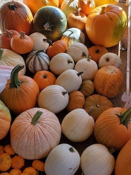 country aire bed and breakfast