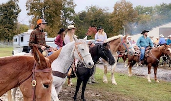 country aire bed and breakfast