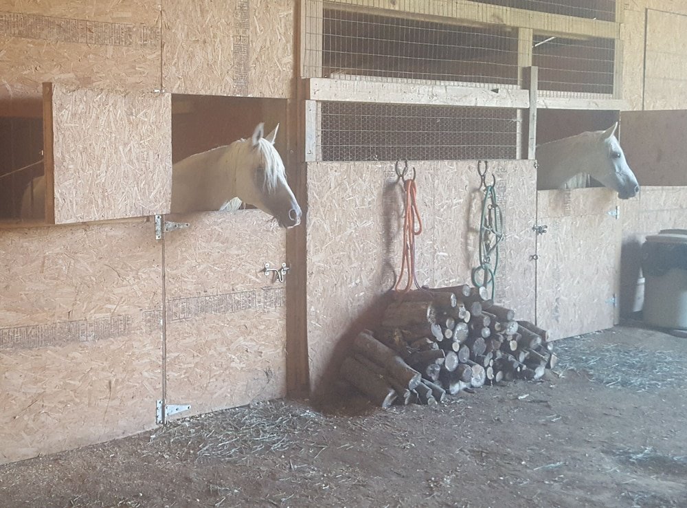 country aire bed and breakfast