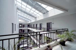 dparagon kijang utara