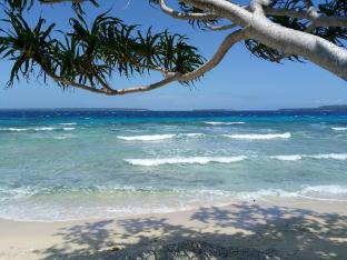 aore island