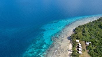 aore island