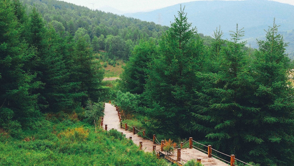 zhangjiakou