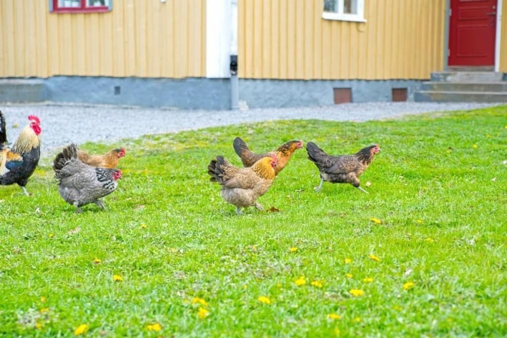 vastervik rum och stugor