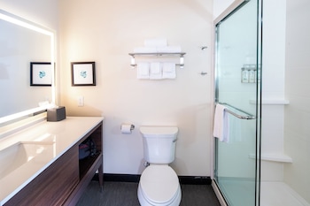 holiday inn and suites detroit troy