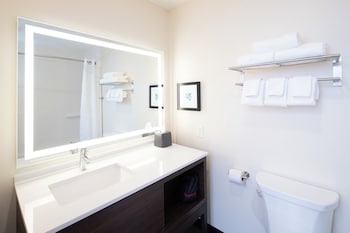 holiday inn and suites detroit troy