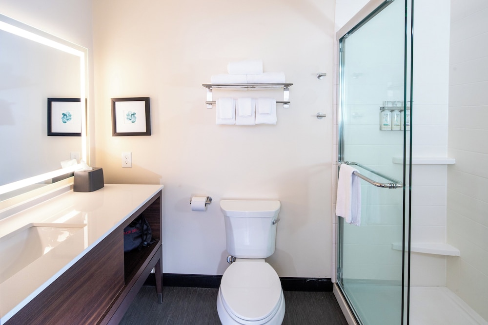 holiday inn and suites detroit troy