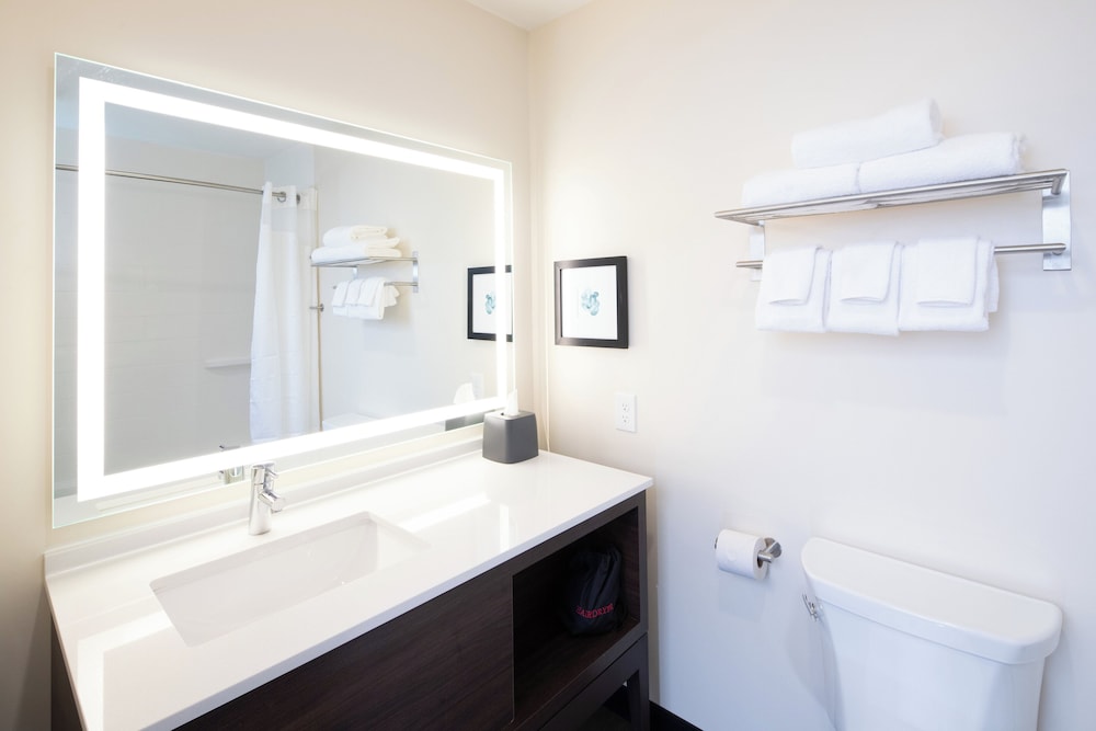 holiday inn and suites detroit troy