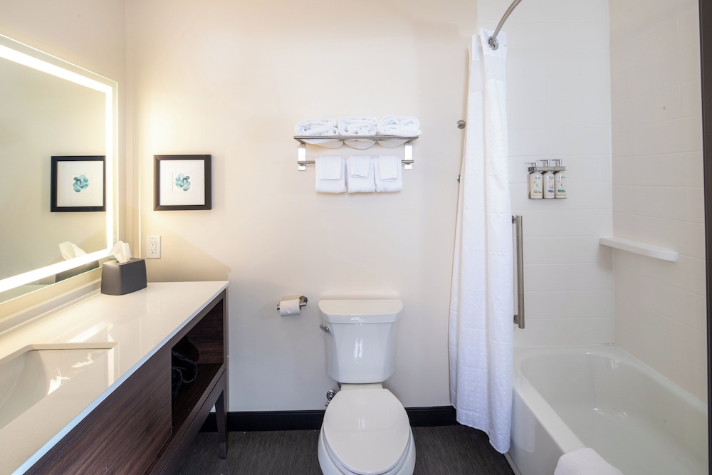 holiday inn and suites detroit troy