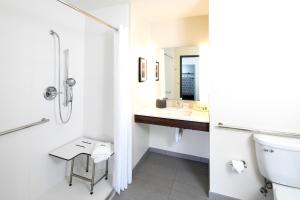 holiday inn and suites detroit troy