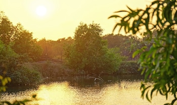goa