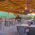 goa
