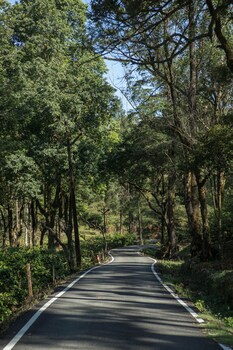 valparai
