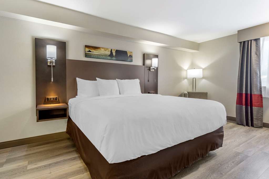 comfort inn and suites pacific auburn