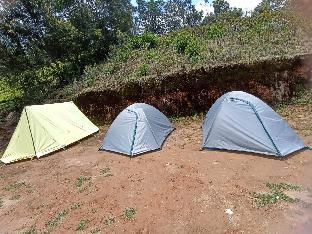 munnar
