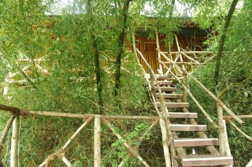 River Valley Resorts,Singara Rd, Masinagudi, Tamil Nadu 643223,3 star