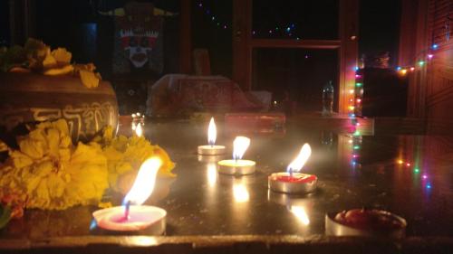 indian backpackers hostel