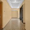 treebo silver key marathahalli