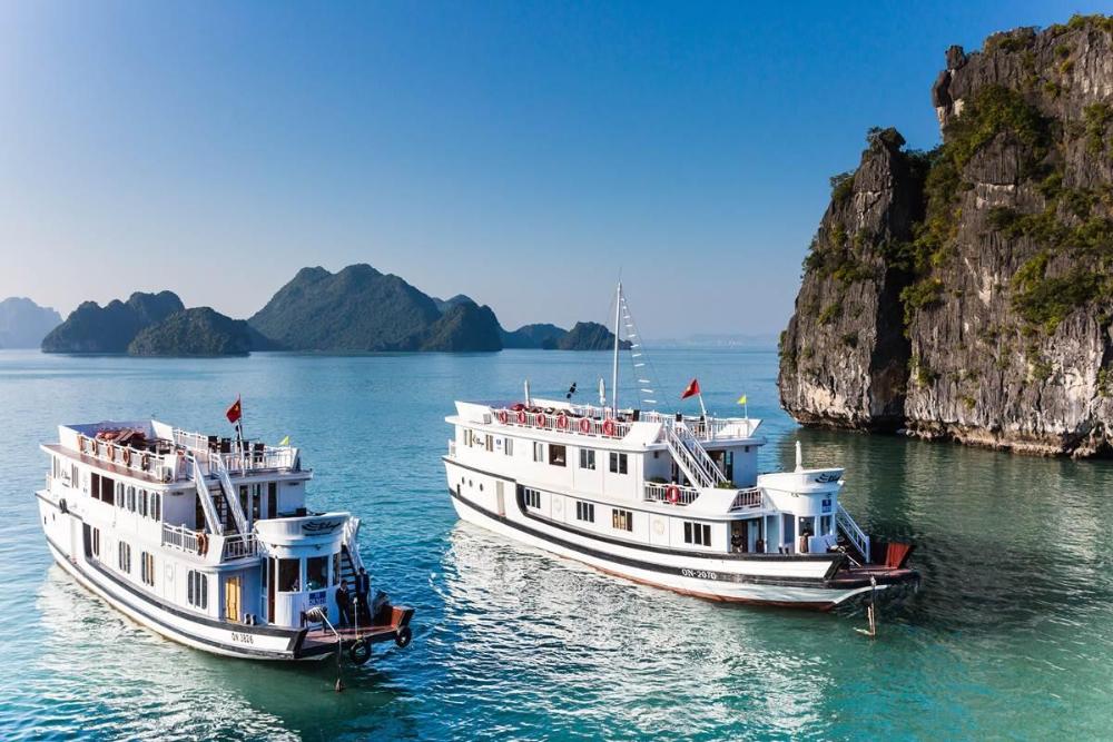 bhaya cruises