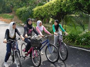 seeds hotel shah alam seksyen 7 i city