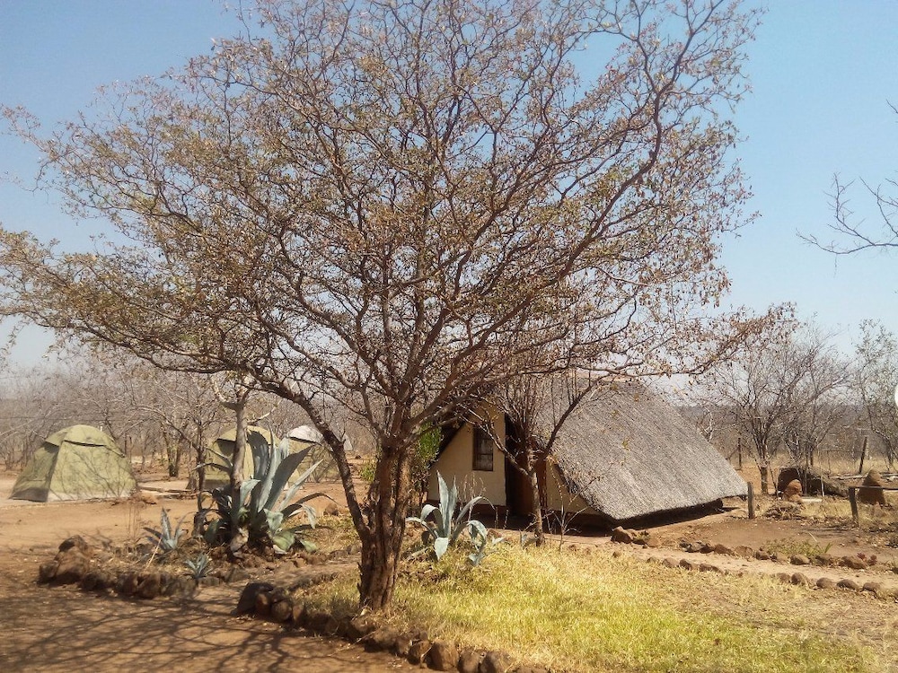 liya lodge and campsite