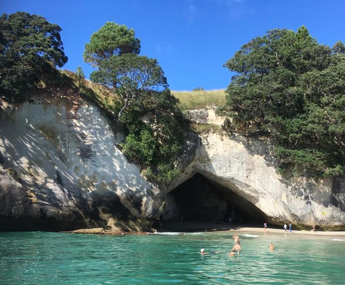 ocean serenity apartments whitianga