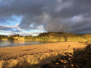 ocean serenity apartments whitianga