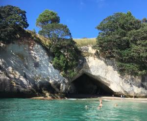 ocean serenity apartments whitianga