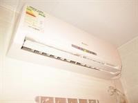 new shanghai guest house