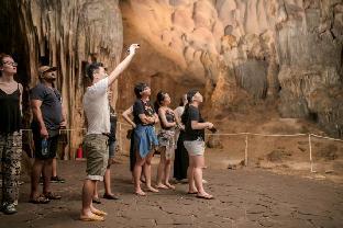 halong majestic legend cruise