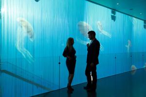 artotel amsterdam powered by radisson hotels