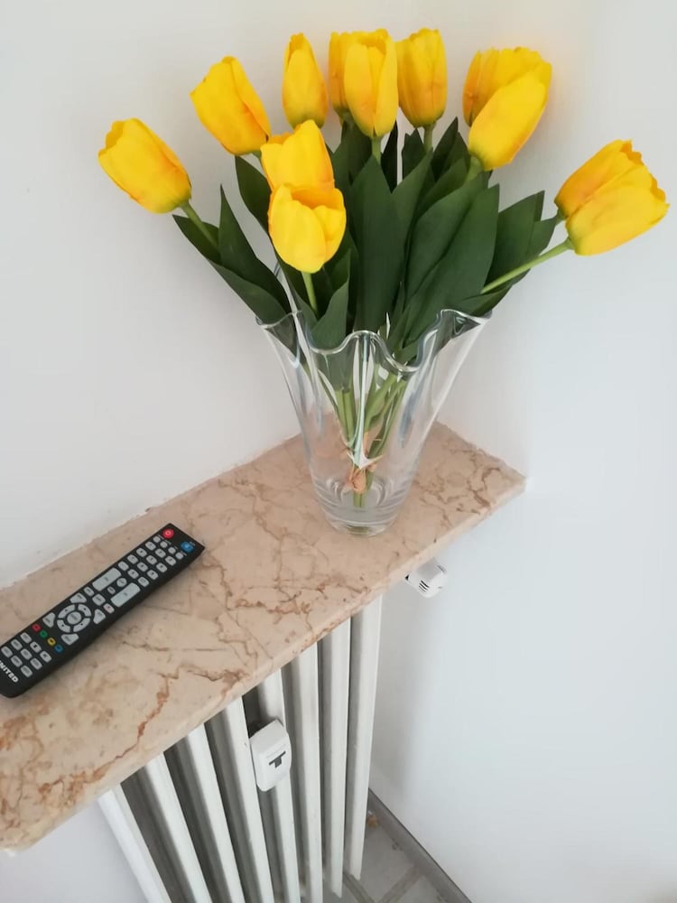 venice vacation house