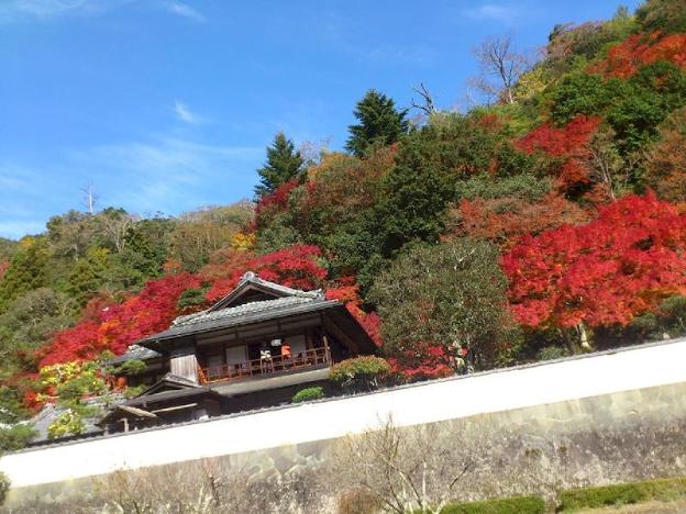 tsuwano