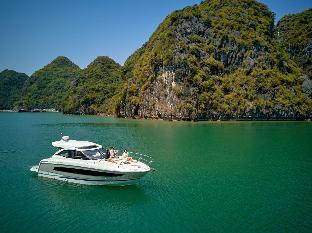 vietyacht marina club halong bay cruise