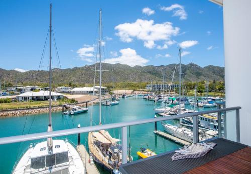 absolute waterfront magnetic island