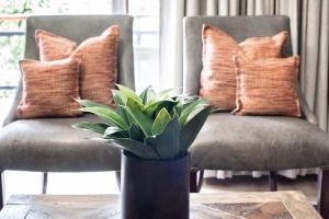 avemore jan cats no 2 with backup power