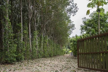 krabi
