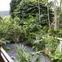 krabi