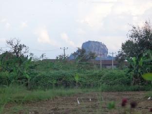 sigiriya vista
