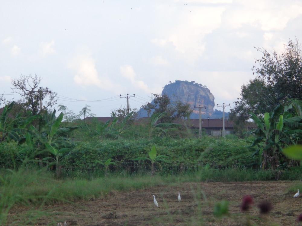sigiriya vista