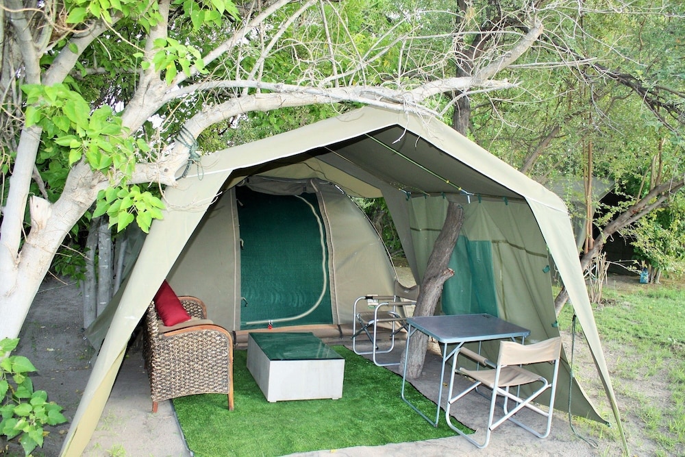 hippo island okavango delta