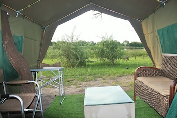 hippo island okavango delta